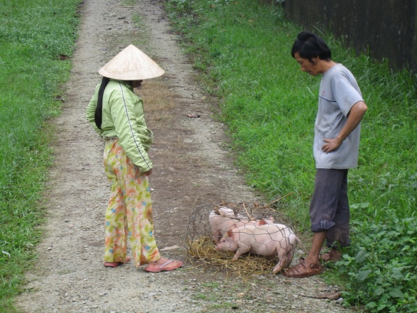 Hue Vietnam - Temples